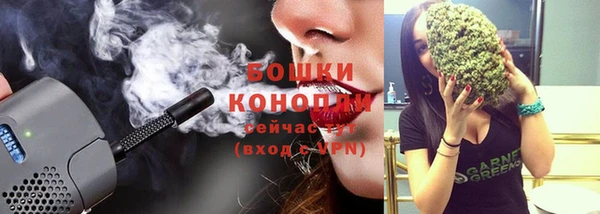 apvp Гусиноозёрск