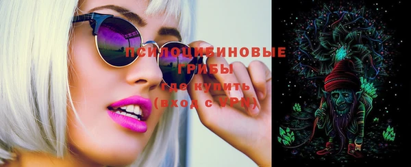 соль ск Балахна