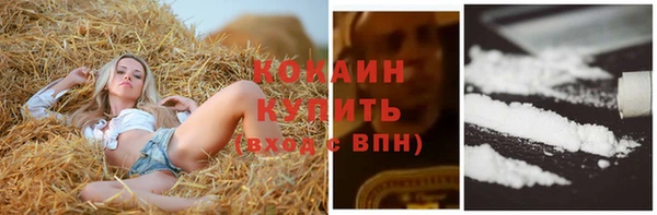 сатива Баксан