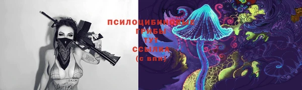 сатива Баксан