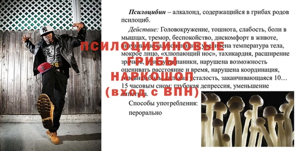 сатива Баксан