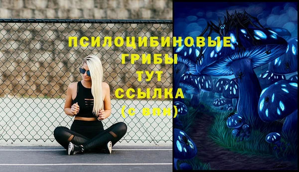 соль ск Балахна