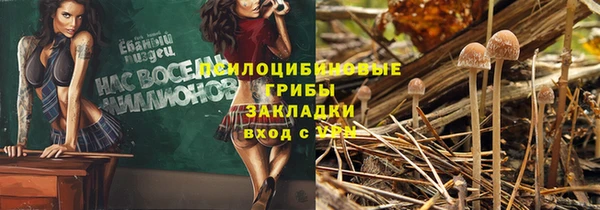 соль ск Балахна