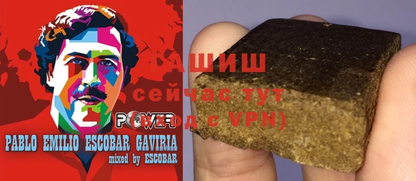 сатива Баксан