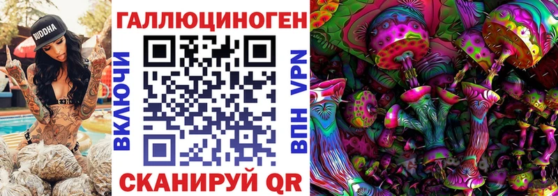 Галлюциногенные грибы Psilocybe  Краснокаменск 